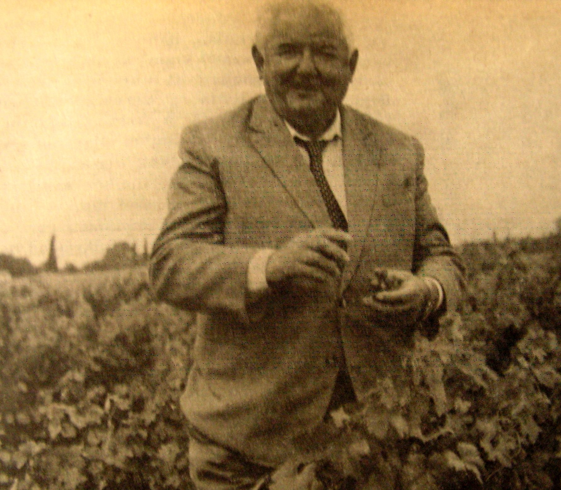 szegedisandor